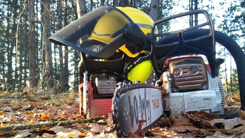 Bedienen von Motorkettensägen - Modul B